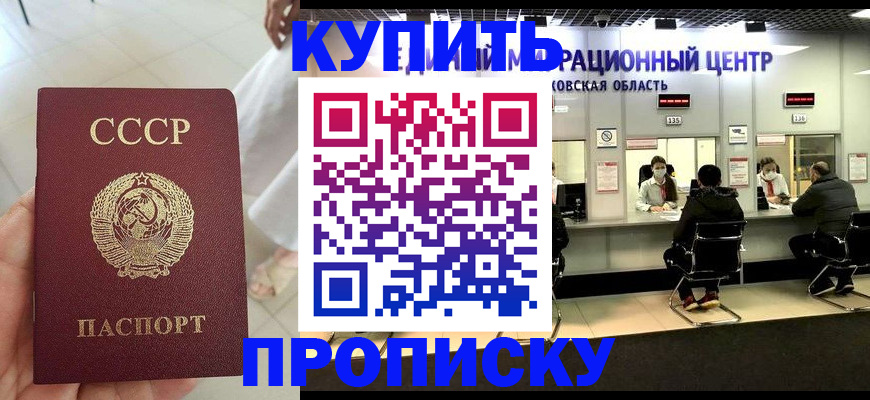 временная прописка в Новороссийске